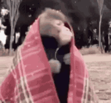 a monkey is wrapped in a pink scarf and standing on a beach .