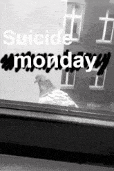 a black and white photo of a pigeon looking out of a window with the words suicide monday written on it
