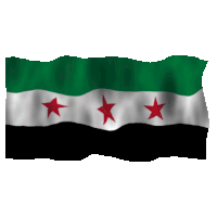 a flag with three red stars on it is waving in the wind