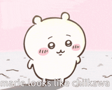 a cartoon bear is holding a book and says marie looks like chikawa