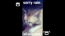 Sorry Rain GIF - Sorry Rain Sorry Rain GIFs