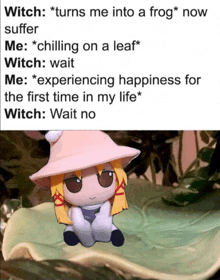 a picture of a stuffed witch with a caption that says witch turns me into a frog now suffer