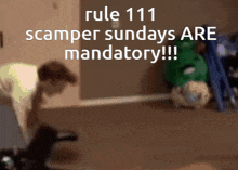 Rule 111 Rules GIF - Rule 111 Rules Charlie Slimecicle GIFs