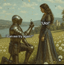 a painting of a knight proposing to a lady with the caption " can we try again ? "