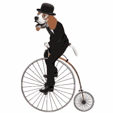 back in my day bicycle penny farthing beagle dog