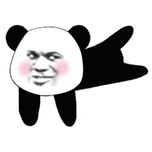 biao panda