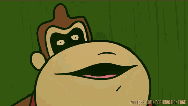 terminal-montage-donkey-kong.png