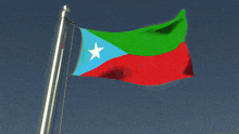a red green and blue flag with a white star in the middle