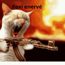 Foxi Enervé GIF - Foxi Enervé GIFs
