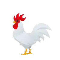 a white rooster with a red crest is standing on its hind legs