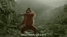 a monkey is dancing in the jungle and saying `` hell yeah go cats '' .