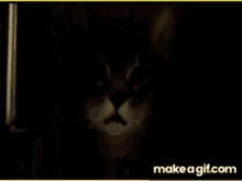 Hey Stalker GIF - Hey Stalker Mode GIFs