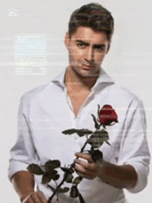 a young man in a white shirt is holding a red rose .
