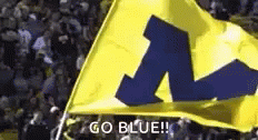 Michigan Wolverines Flag GIF - Michigan Wolverines Flag Go Blue GIFs