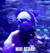 a person is holding a stuffed animal in front of an aquarium with a caption that says hiii atari