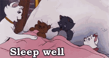 Sleep Well GIF - Sleep Well Aristocats Cats GIFs