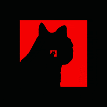 a black cat is silhouetted against a red backdrop