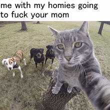 Mom Fuck GIF - Mom Fuck Your Mom GIFs