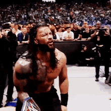 Roman Reigns Summerslam Roman Reigns Brock Lesnar GIF - Roman Reigns Summerslam Roman Reigns Brock Lesnar 2022 GIFs
