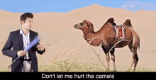 Dont Let Me Hurt The Camels Hurt GIF - Dont Let Me Hurt The Camels Hurt Camels GIFs
