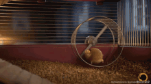 Super Criceto Run Fast GIF - Super Criceto Run Fast Hamster GIFs