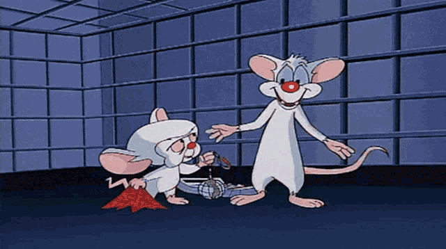 Pinky And The Brain Animated Gif