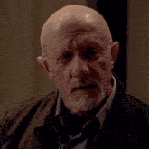 Mike Breaking Bad Dissapointed Meme GIF - Mike Breaking Bad Dissapointed Meme GIFs