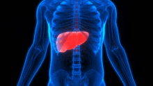 Liver Function GIF - Liver Function GIFs