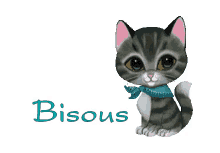bisous cat