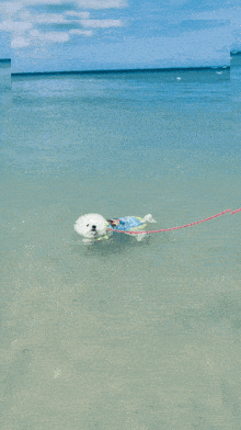 a person is floating in the ocean on a raft