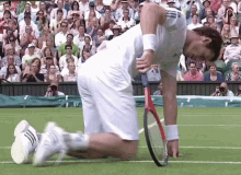 Andy Murray Crawl GIF - Andy Murray Crawl Tennis GIFs