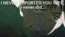 a close up of a person 's face with the words " i never reported you tree i never did " above it