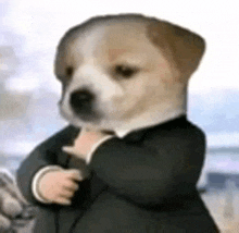 a puppy wearing a tuxedo and tie .