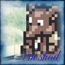 a pixel art of a person with the words i 'm shad below