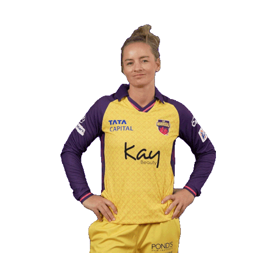 What Women'S Cricket Sticker - What Women'S Cricket What Did You Say Stickers