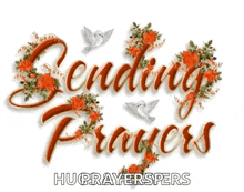 Sendingprayers Praying GIF - Sendingprayers Praying Birds GIFs