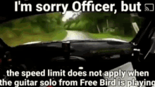 Free Bird GIF