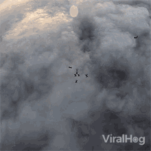 Sky Diving Viralhog GIF