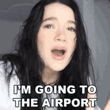 Im Going To The Airport Fionafrills GIF - Im Going To The Airport Fionafrills Frilliance GIFs