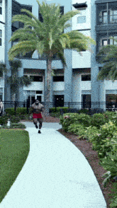 a man running down a path in front of a building with palm trees