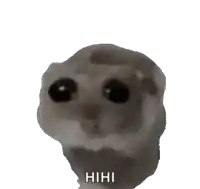a close up of a hamster 's face with the words ' hhh ' written below it