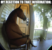 Horse Sitting On A Bench GIF - Horse Sitting On A Bench GIFs