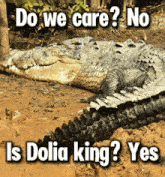 a picture of a crocodile with the words do we care no is dolia king yes above it