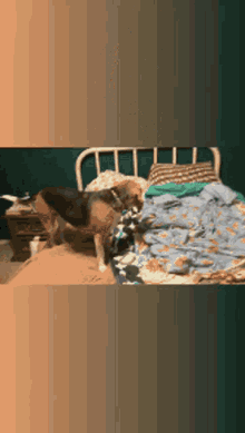Scarlett The Beagle Dog GIF - Scarlett The Beagle Dog Cute GIFs