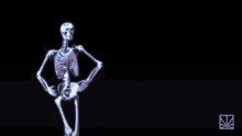 Skeleton Skeleton Dance GIF - Skeleton Skeleton Dance Dance GIFs