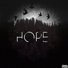 the word hope is on a black background with birds flying in the background