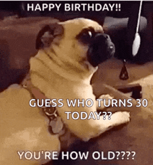 Happy Birthday How Old Are You GIF - Happy Birthday How Old Are You Pet GIFs