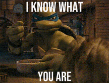 I Know What You Are Leo Tmnt GIF - I Know What You Are Leo Tmnt Tmnt 2007 GIFs