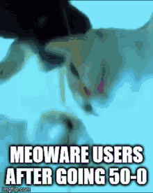 Meoware Cat GIF