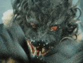 Werewolf Scary GIF - Werewolf Scary Funny GIFs